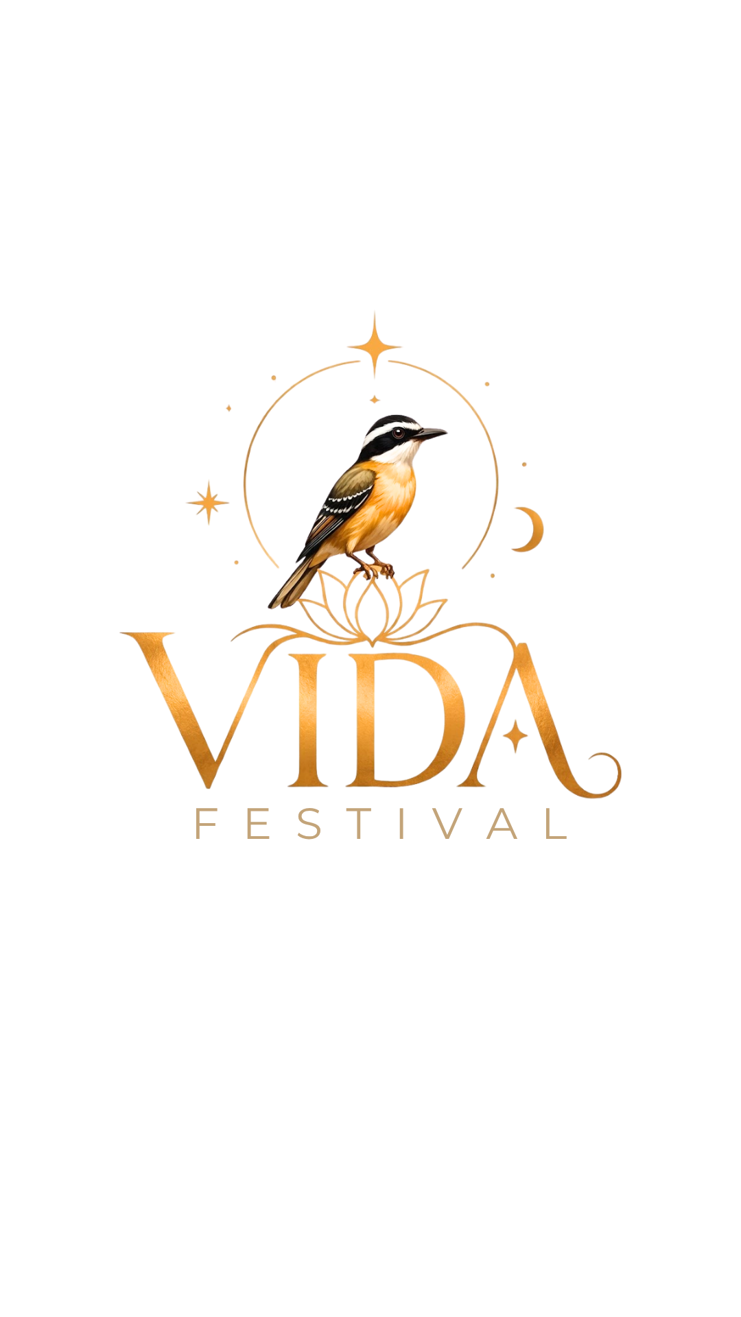 VIDA Festival